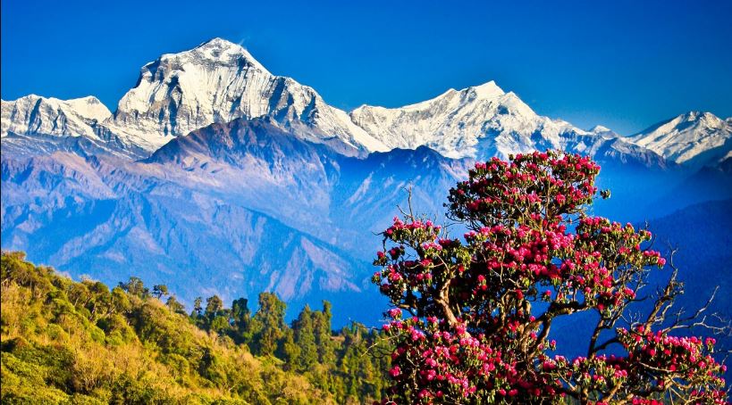 के नेपाल विश्वको उत्कृष्ट शैक्षिक गन्तव्य बन्न सक्छ ?